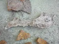 DSC00022.webp