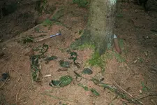 1a 008_1600_1068.webp