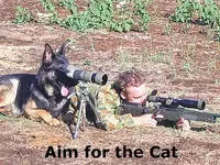 DogWillHunt.webp