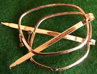 glasses 2.webp