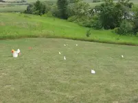 downhill20.webp
