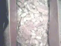 boxoflead.webp