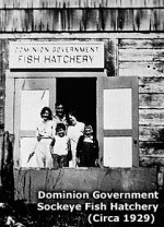 1929 Fish Hatchery.jpg