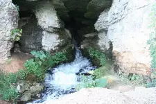 Natural Spring in Muscle Shoals.webp