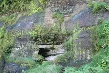 cave at Muscle Shoals.webp
