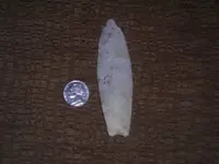 DSCN1240.webp