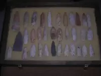 DSCN1245.webp