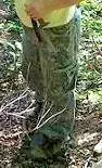 Nana0520.webp
