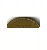 14d close up.webp