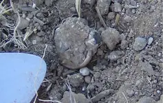 Ring 18k Stone.webp
