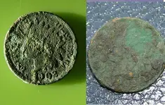 IH Penny Proxcide comparison heads.webp