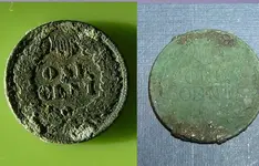 IH Penny Proxcide comparison.webp