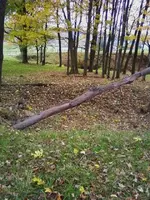 Cellar hole.webp