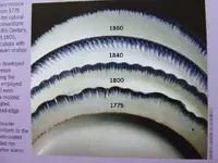 DSCF3874.webp
