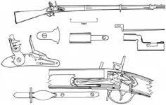 fig19[1].webp