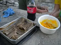 DSCN1651_01.webp