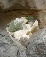 DSC02227- s1.webp