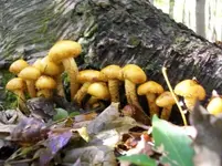 OCT 2ND HUNT WITH GARY 010 [].webp