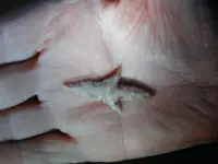 DSCF1427.webp