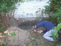 Scott 1.webp
