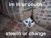 cat.webp