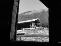 independance bw.webp
