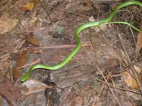 DSCN3975.webp