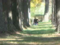 2010 finds 419.webp