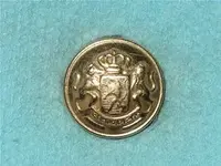 button fashion lion with crest crown.webp