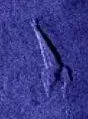 S00159-map_1crop.webp
