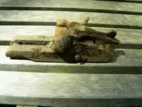 DSCN3124.webp