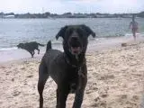 Eli1.webp