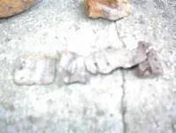 DSC00057.webp