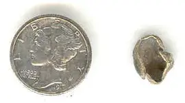 Tooth Cap 1.webp
