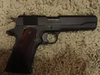 gun 009.webp
