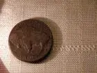 1937 Buffalo Nickel 2.webp