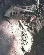 guns.webp