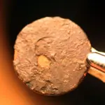NC FINDS 9-5 001.webp