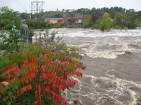 flood 022A.webp