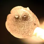 NC FINDS 9-5 004.webp
