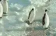 avatar_26191.webp