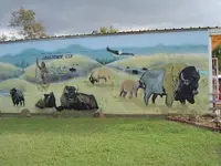 Oklahoma Road Trip 019.webp