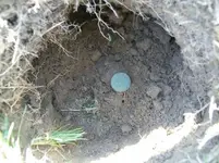 AUG 28 SOLO HUNT SEATED DIMES 010 [].webp