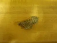 Tnet Unknown2.webp