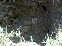 AUG 28 SOLO HUNT SEATED DIMES 011 [].webp