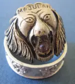 scary lion.webp