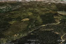 Logging Site.webp