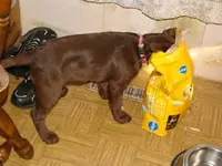 DSC08479.webp