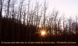 fall last.webp