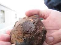 Possible petrified wood and indent and chain links below it Macro Pic.webp